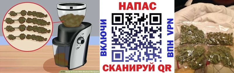 дарнет шоп  Красноармейск  Cannafood конопля 