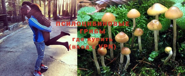 ПСИЛОЦИБИНОВЫЕ ГРИБЫ Беломорск
