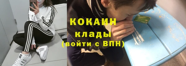 ПСИЛОЦИБИНОВЫЕ ГРИБЫ Беломорск
