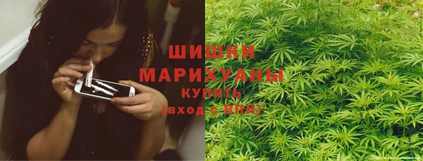 гидра Белокуриха