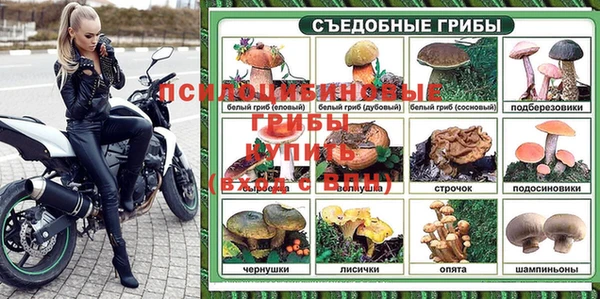 стафф Белоозёрский