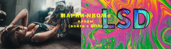 гидра Белокуриха